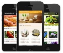 手機(jī)網(wǎng)站怎樣做才更有效果？如何做優(yōu)化？