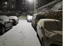 青島！大雪！大愛！