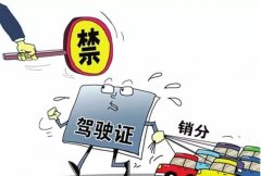 青島的朋友們注意啦，9月起禁止使用他人駕照銷