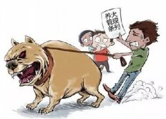 青島10月份一大波勁爆消息，你知道嗎？